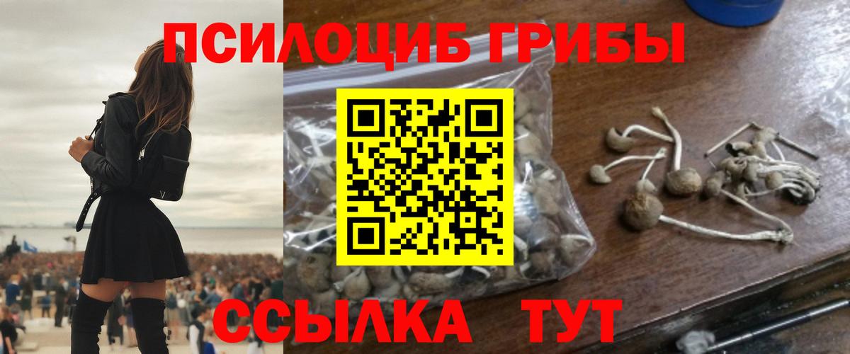 Псилоцибиновые грибы Psilocybe Самара
